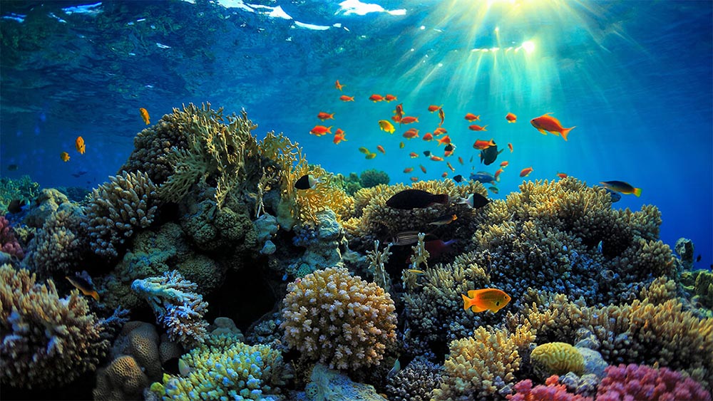 An Thoi Archipelago phu quoc vietnam